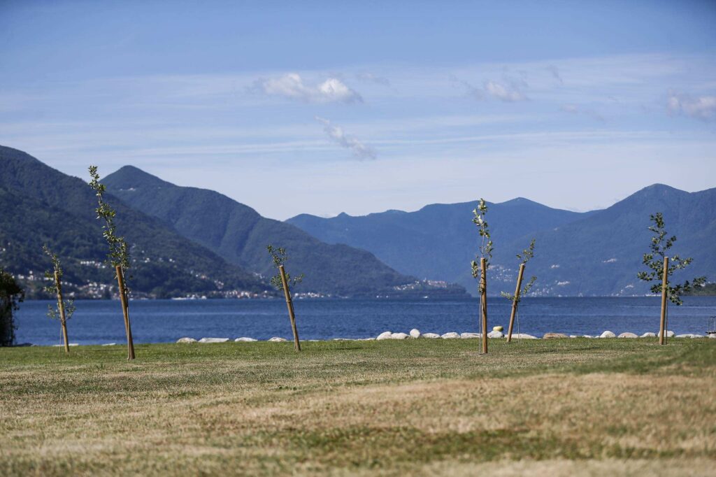 Tenero – Edilizia forestale