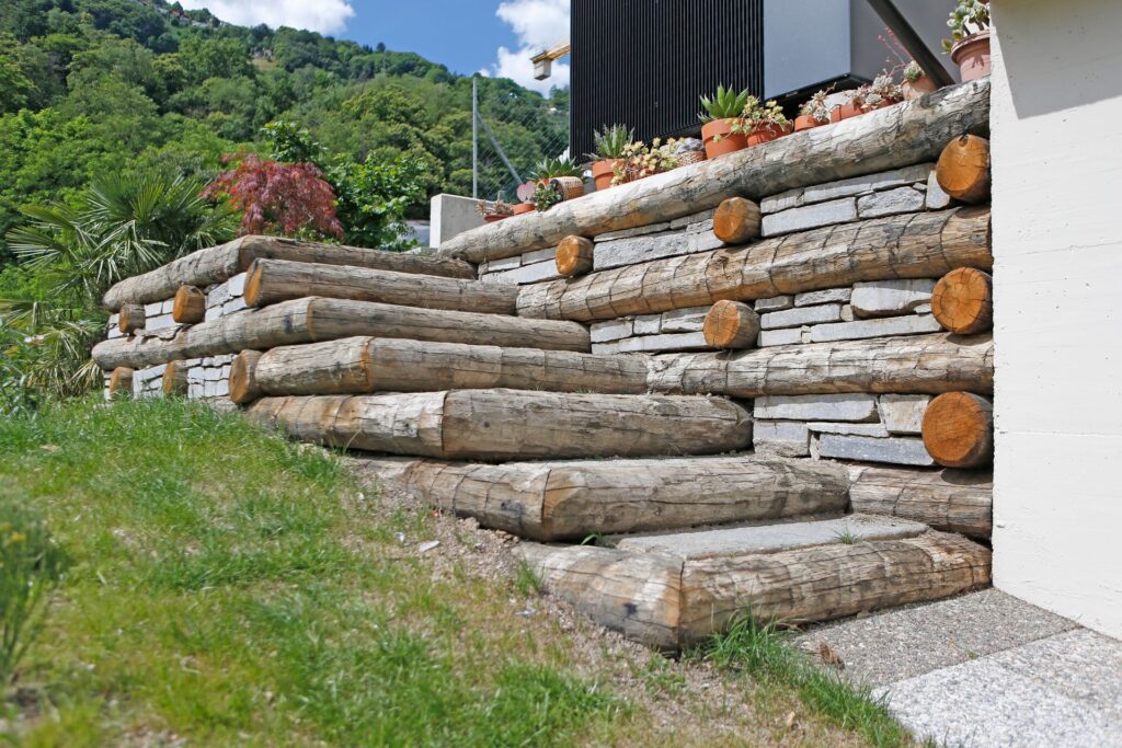 Lamone – Edilizia forestale