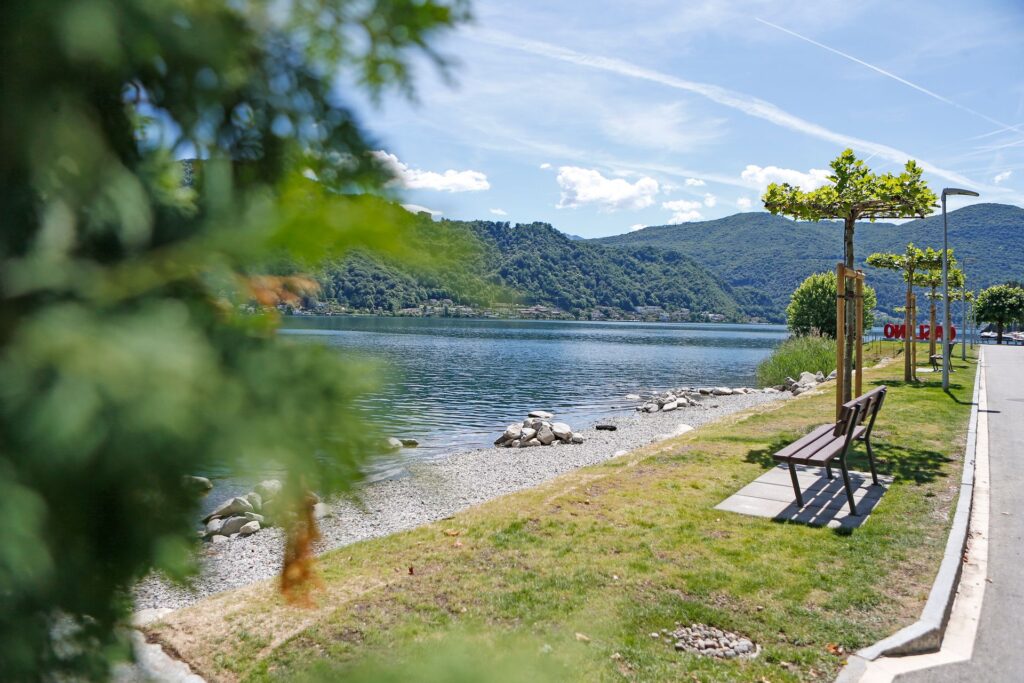 Caslano – Edilizia forestale